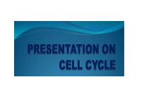 CELL CYCLE 1.pptx